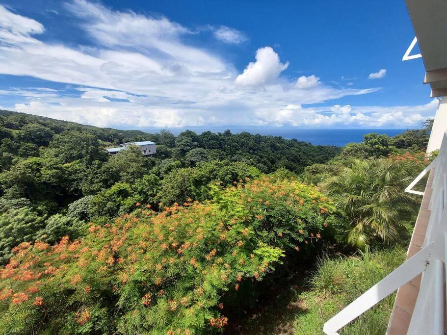Grand Studio En Bas De Villa Avec Vue Sur Mer Au Carbet Le Carbet Exterior foto